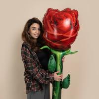 Большая роза