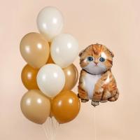 Котик и фонтан из шаров 